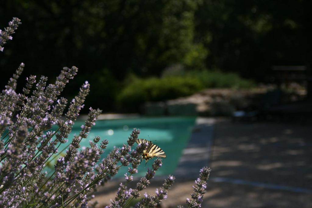 La Villa Des Pins Verrieres  Dış mekan fotoğraf